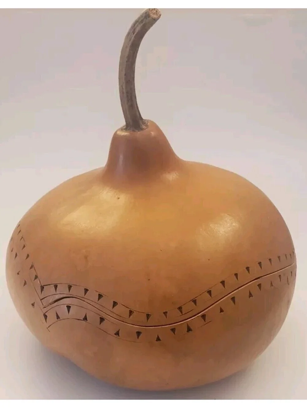 Natural Gourd Carved Dried Canteen Bushel Basket Art Etched Fall Halloween Decor